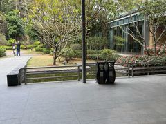 -南宁荔园维景国际酒店·荔园中餐厅