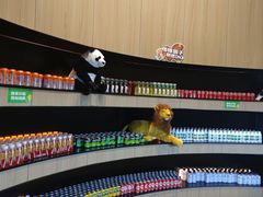 -涨巢·潮玩水疗局