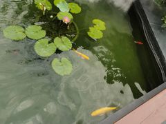 -濮园 · 四合院餐厅