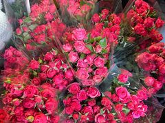 -循礼门鲜花花市(武汉循礼门店)