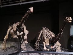 -世界恐龙谷景区