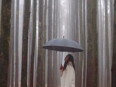 -山王坪喀斯特国家生态公园