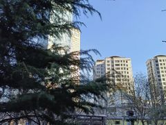 -天津市和平区西宁道清真寺