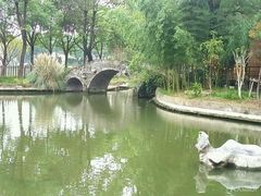 -金龟岛渔村