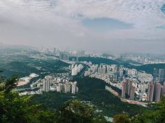 -梧桐山风景名胜区