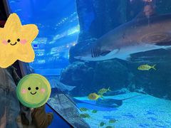 -成都浩海立方海洋公园