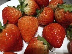 -小天鹅戴斯酒店鲸鲨百汇创作料理