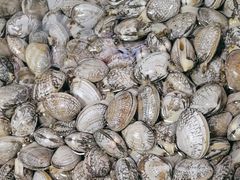 -兆辉木炭海鲜烧烤·海鲜小炒