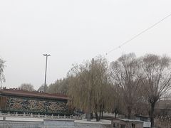 -白洋淀景区