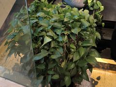 -洛阳宴·洛阳菜(南昌路店)