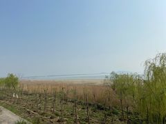 -合肥滨湖国家森林公园