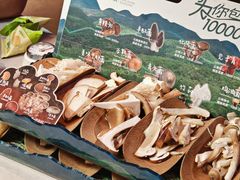 -芸山季·云南山珍菌火锅(人民广场来福士店)