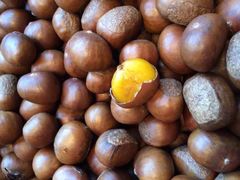 -阿男野栗王(金门路店)