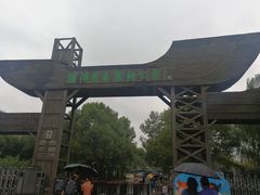 -溱湖国家湿地公园