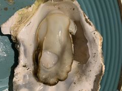 -海食焗(新光天地店)