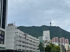 -莲塘味宝园牛杂(天越翔园店)