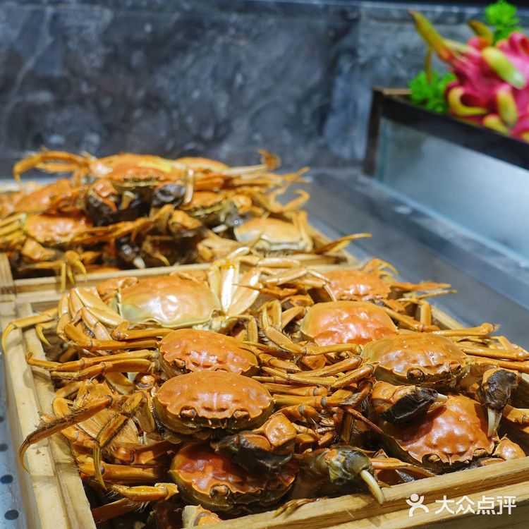 融汇｜人均100💰原切安格斯吃到扶墙出！