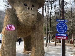 -洛阳白云山景区