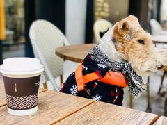 -Peet's 皮爷咖啡(东湖路手作店)