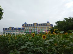 -广州花之恋城堡酒店