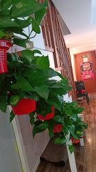 -青颜国际专业皮肤管理中心