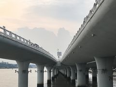 -演武大桥观景平台