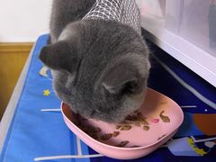 -美联众合动物医院·24h转诊中心