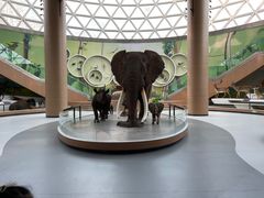 -陕西自然博物馆