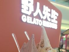 -野人先生现做冰淇淋(北京王府井东方新天地店)