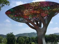 -帐篷客·溪龙茶谷度假酒店