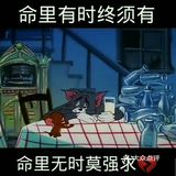 其实猫和老鼠并非只是一个喜剧，还是一个感情色彩非常浓