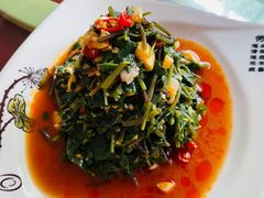 -全乐鱼馆·淳牌有机鱼直营店