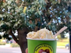 -Dooley's Premium Ice Cream