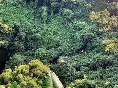 -海口火山口国家地质公园