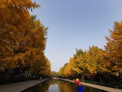 -玲珑塔公园