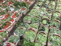 -菜园坝水果市场
