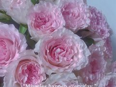 -花邻FloweringLife花艺气球派对(武康大楼店)
