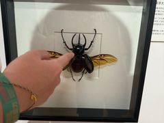 -上海昆虫博物馆