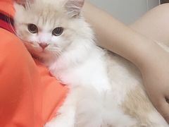 -Pets First伊珊娜洗护·精致美容·家庭式寄养(新会路店)