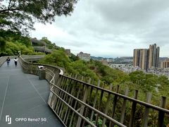 -福道
