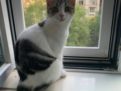 -中农国际动物医院24小时·猫科·骨科·急重症中心