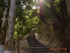-火炉山森林公园