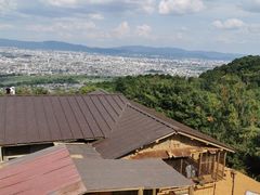 -岚山猴子公园