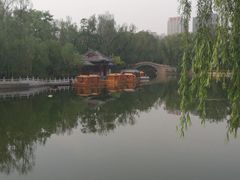 -迎泽公园