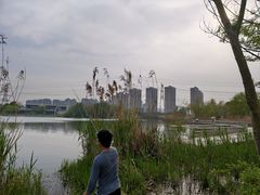 -九里河湿地公园