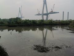 -芒洲湿地公园