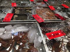 -湛江渔港·大排档(乐园路总店)