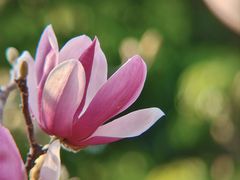 -烈士陵园(地铁站)