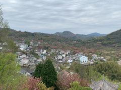 -四明山国家森林公园