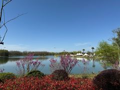 -苏州太湖国家湿地公园